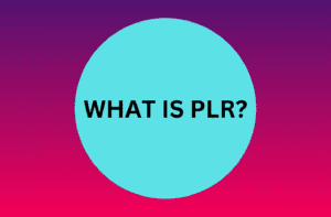 Read more about the article What is PLR Content and How Can You Use It to Grow Your Blog?